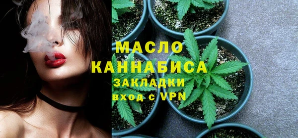 трава Ельня