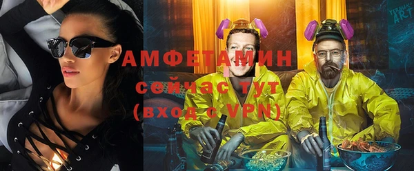 трава Ельня