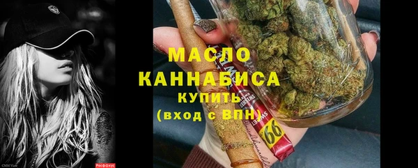 трава Ельня