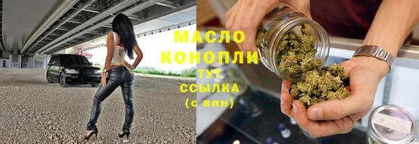трава Ельня