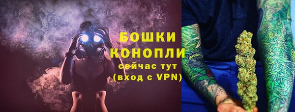 трава Ельня