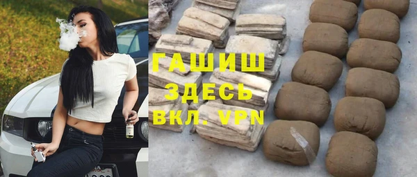 трава Ельня