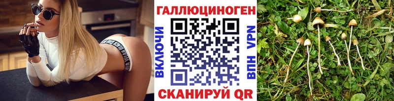 Купить  Находка  Псилоцибиновые грибы Magic Shrooms 